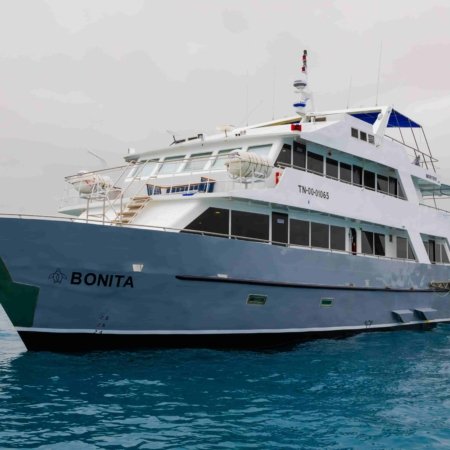 galapagos cruise tourist