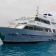galapagos cruise tourist