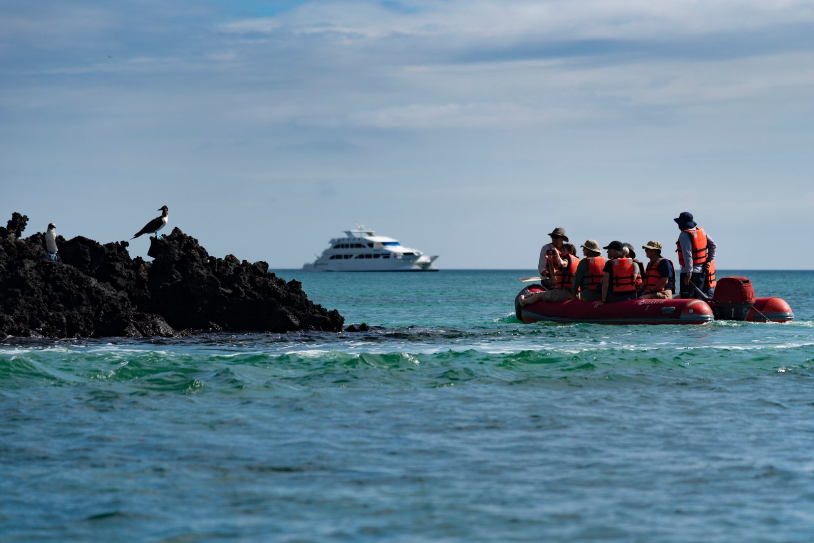 Galapagos Cruises